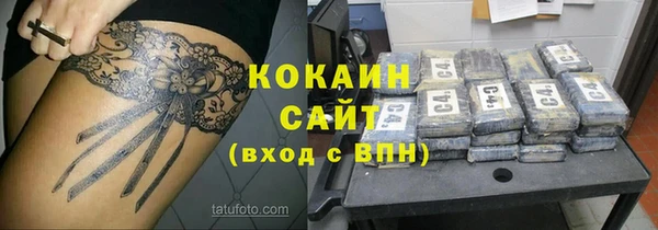 крисы Шадринск