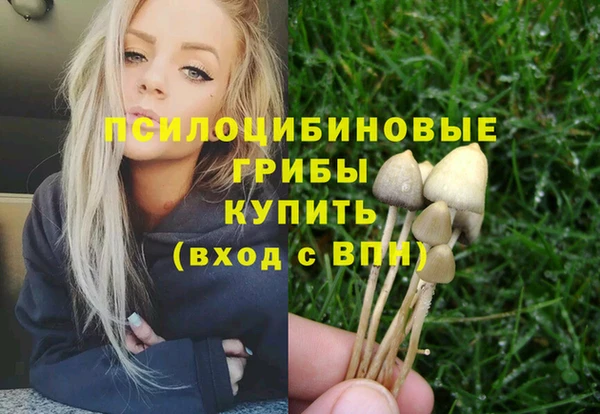 ПСИЛОЦИБИНОВЫЕ ГРИБЫ Ростов