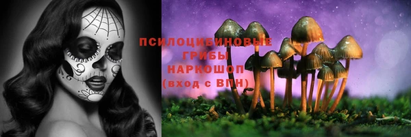 ПСИЛОЦИБИНОВЫЕ ГРИБЫ Ростов