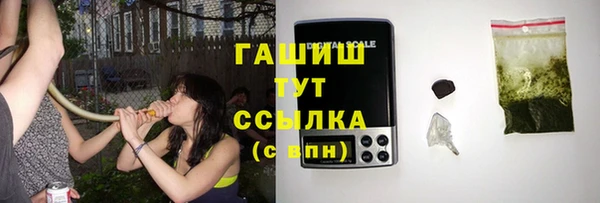 индика Великий Новгород