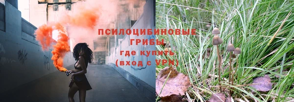 ПСИЛОЦИБИНОВЫЕ ГРИБЫ Ростов