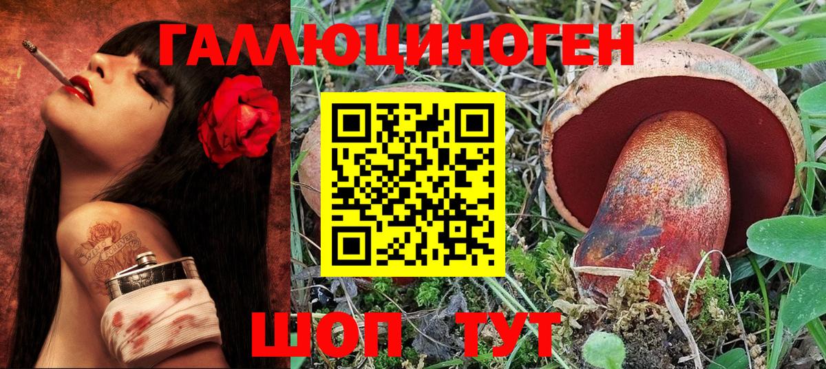Холмск  Псилоцибиновые грибы Psilocybine cubensis  Псилоцибиновые грибы Psilocybe  Вход с VPN 